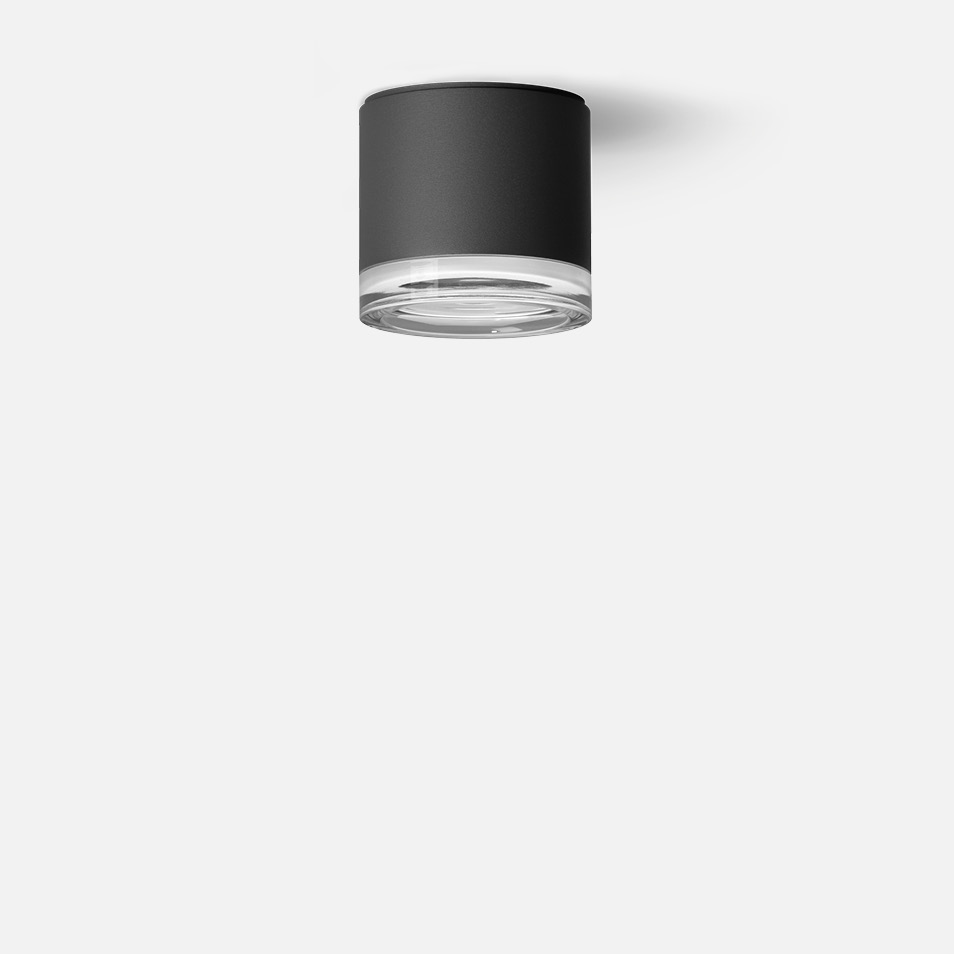 Surface mounted downlight