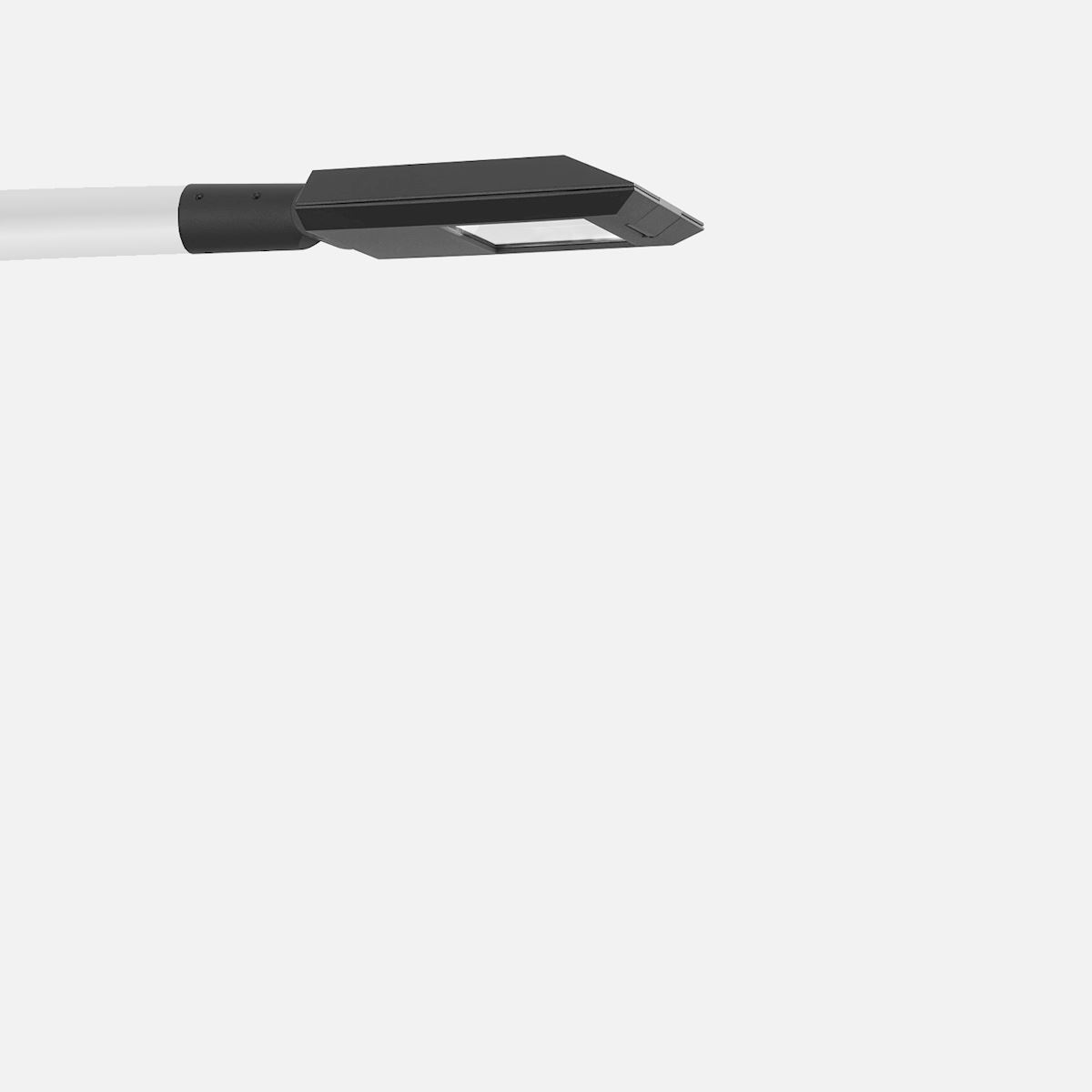 Davit arm